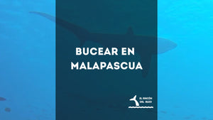Buceo en Malapascua