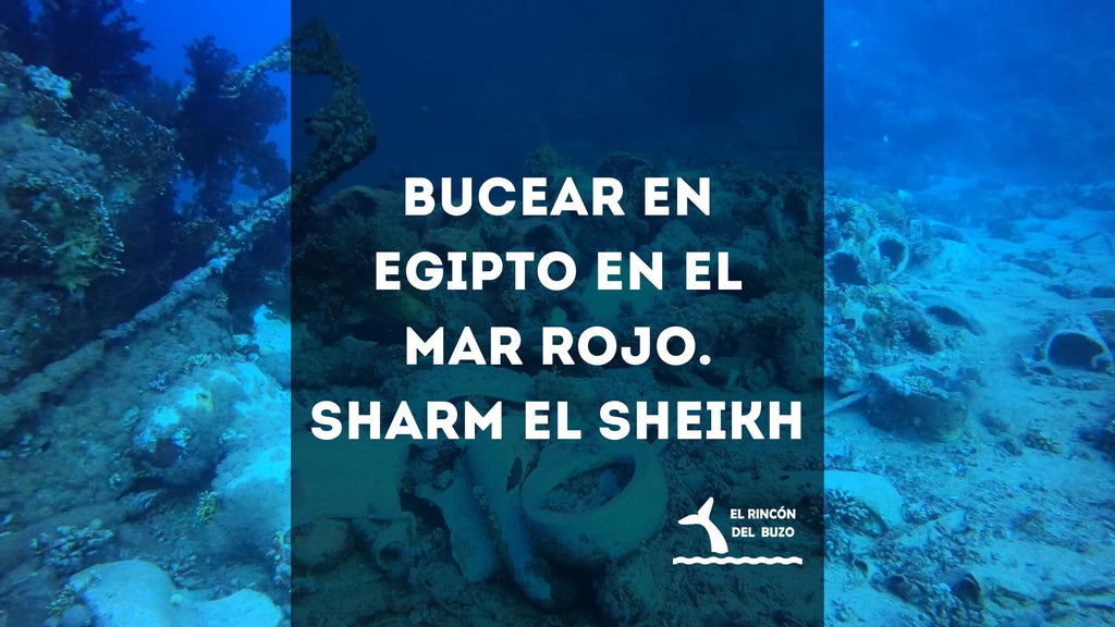 Bucear en Egipto en el Mar Rojo. Sharm el Sheikh