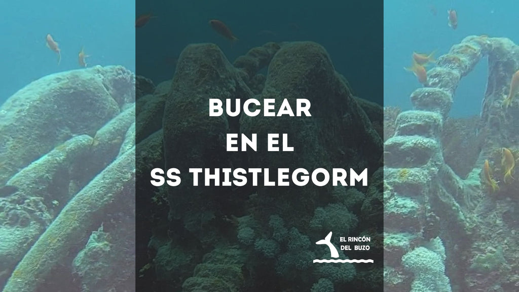 Bucear en el SS Thistlegorm. Una de las mejores experiencias del buceo en el Mar Rojo