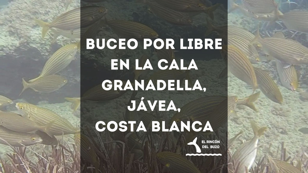 Buceo por libre en la Cala Granadella, Jávea, Costa Blanca