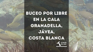 Buceo por libre en la Cala Granadella, Jávea, Costa Blanca