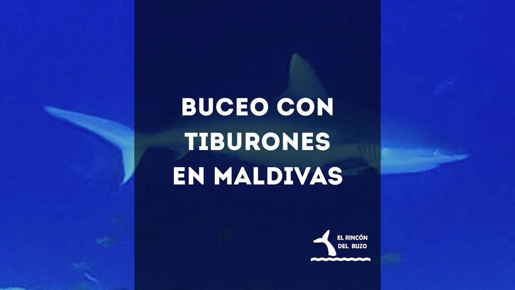 Buceo con tiburones en Maldivas