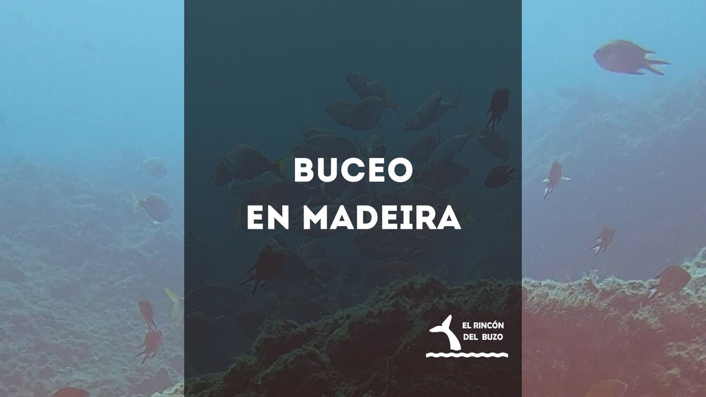 Buceo en Madeira