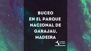 Bucear en el parque nacional de Garajau, Madeira