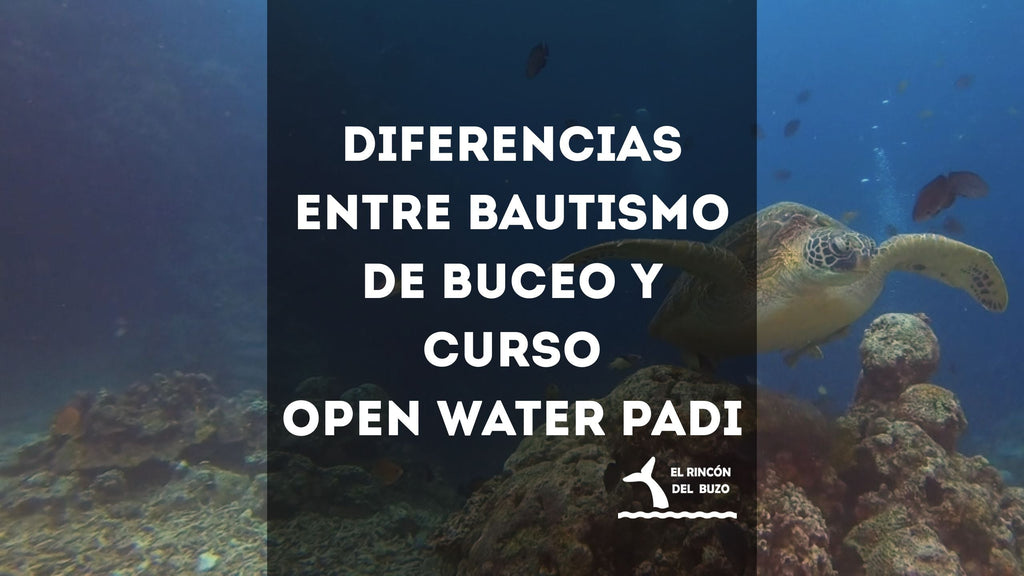 Diferencias entre bautismo de buceo y curso Open Water PADI