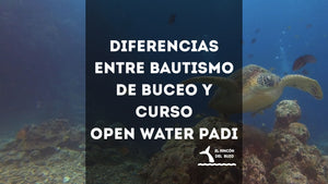 Diferencias entre bautismo de buceo y curso Open Water PADI