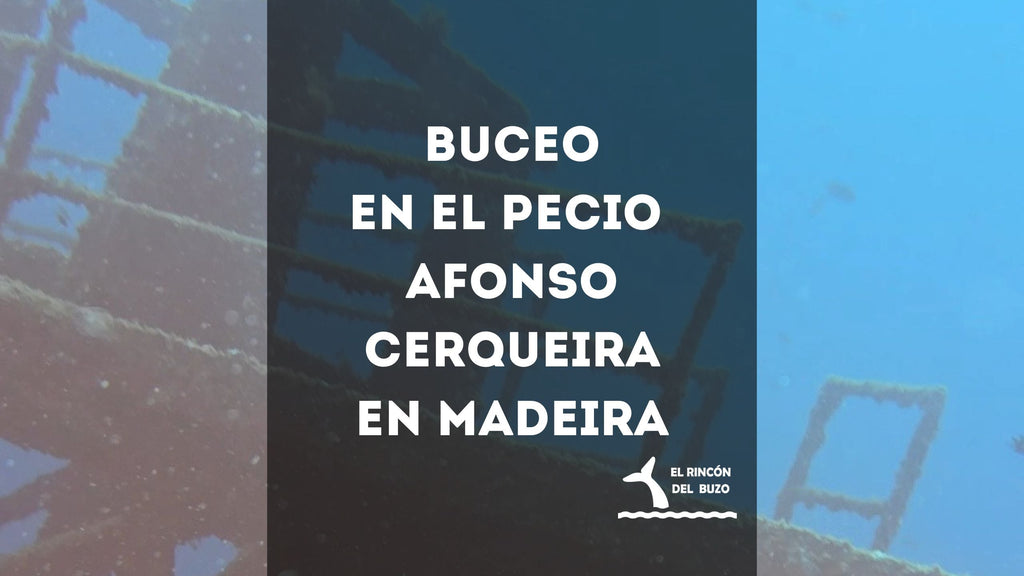 Buceo en el pecio Afonso Cerqueira en Madeira