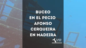 Buceo en el pecio Afonso Cerqueira en Madeira