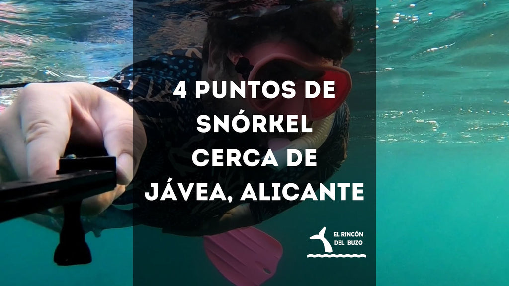 4 puntos de snorkel cerca de Jávea, Alicante