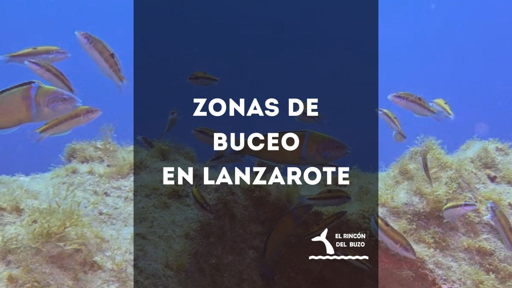 Zonas de buceo en Lanzarote