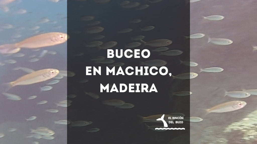 Bucear en Machico, Madeira