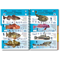 Marine Pictolife - Atlántico Este - Libro de especies - El Rincón del Buzo