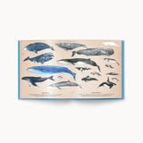 Ballenas. Vida Secreta (Libro ilustrado)