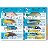 Marine Pictolife - Caribe - Libro de especies - El Rincón del Buzo