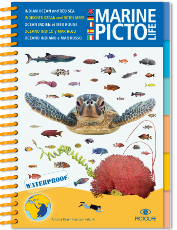 Marine Pictolife - Índico y Mar Rojo - Libro de especies - El Rincón del Buzo