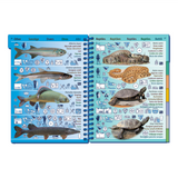 Marine Pictolife - Agua Dulce - Libro de Especies