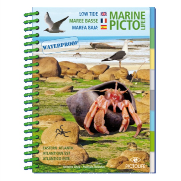 Marine Pictolife - Marea Baja - Libro de especies