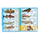 Marine Pictolife - Marea Baja - Libro de especies