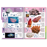 Marine Pictolife - Macaronesia - Libro de especies - El Rincón del Buzo