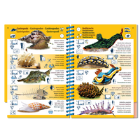 Marine Pictolife - Pacífico Asiático - Libro de especies - El Rincón del Buzo
