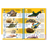 Marine Pictolife - Pacífico Asiático - Libro de especies - El Rincón del Buzo