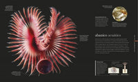 Océanos Nueva edición: El mundo secreto de las profundidades marinas (Enciclopedia visual)