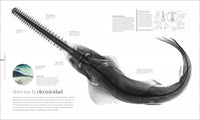 Océanos Nueva edición: El mundo secreto de las profundidades marinas (Enciclopedia visual)