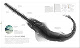 Océanos Nueva edición: El mundo secreto de las profundidades marinas (Enciclopedia visual)