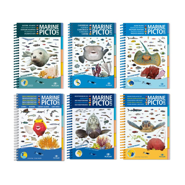 Pack Libros Marine Pictolife - Todas las Zonas